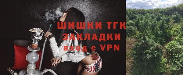 молекула духа Лихославль